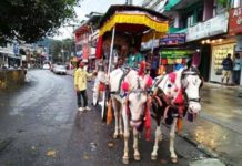 पोखराको लेकसाइडमा बग्गी चढेर सरर घुम्मन पाइने
