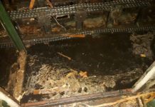 मनकामना प्लाईवोर्ड ईन्डष्ट्रिजमा आगलागि