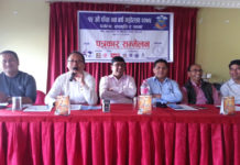 १५ औं फेवा नव वर्ष महोत्सवको तयारी सुरू